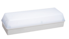 Rechargeable Emergency Light with CE Approval