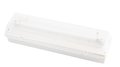 CE 1*8W Emergency light for building